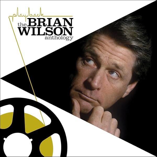 Brian Wilson [Musikkassette] - : Amazon.de: Musik
